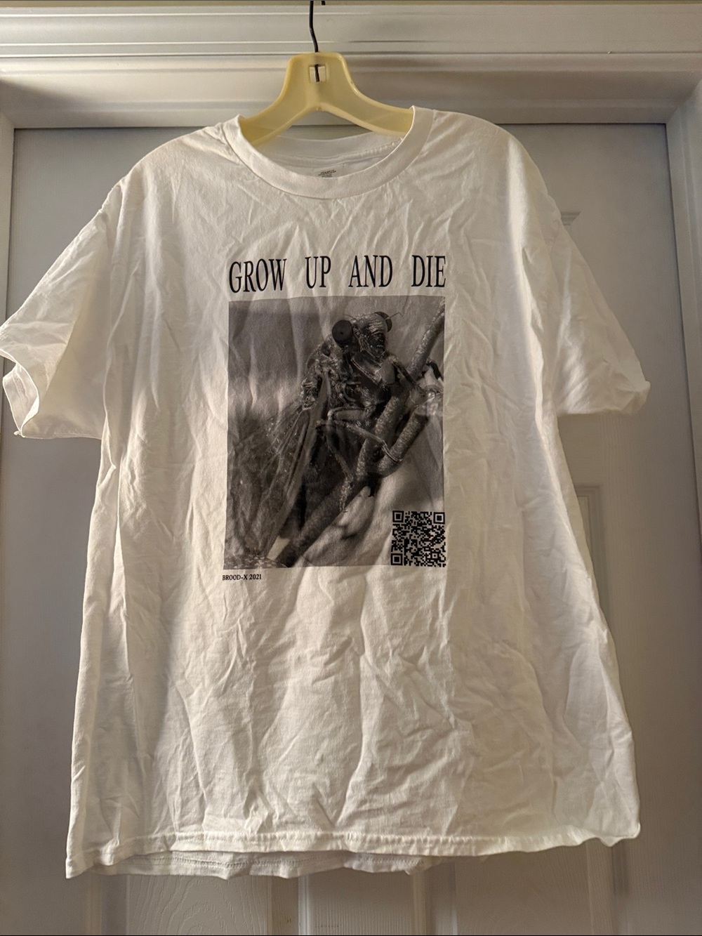 Hanes White Short-Sleeve Graphic Tee - 'Grow Up and Die'